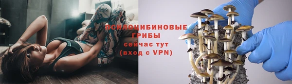 метадон Дмитровск