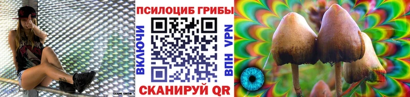Купить  Татарск  Псилоцибиновые грибы MAGIC MUSHROOMS 