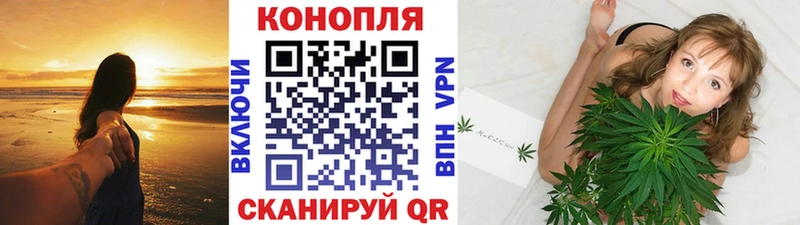 Шишки марихуана MAZAR  Купить  Татарск 